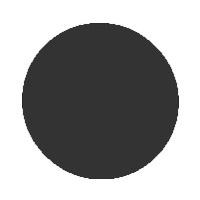 Circle Icon